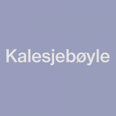 Regal 2100 Kalesjebøyle i Aluminium til malnr 095355 eller stylenr 53639 
